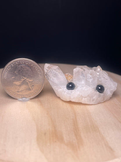 X-Small Crystal Buddies