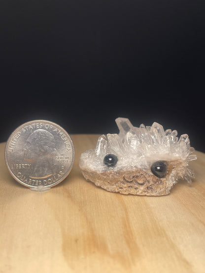 X-Small Crystal Buddies