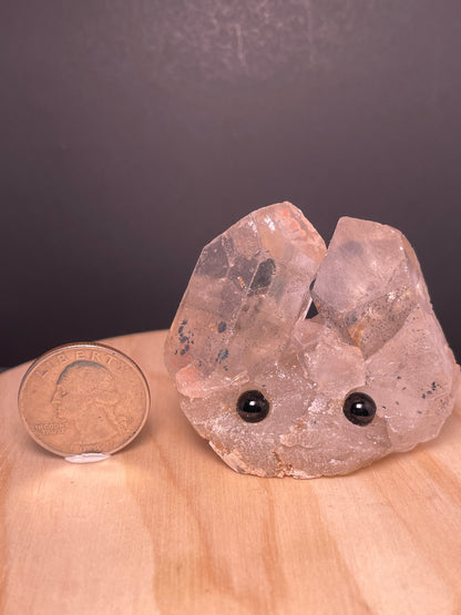 Large Crystal Buddies