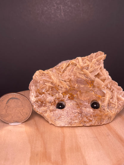 Large Crystal Buddies