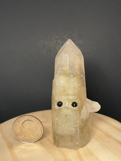 Large Crystal Buddies