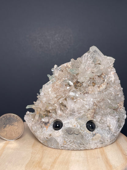 X-Large Crystal Buddies