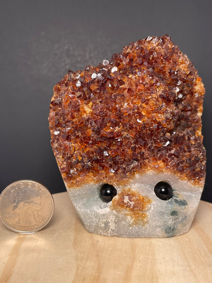 X-Large Crystal Buddies